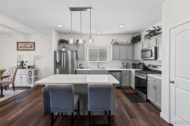 3938 Narrow Leaf Lane, Swansea, IL 62226