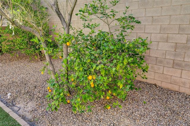 2791 Culloden Avenue, Henderson, NV 89044