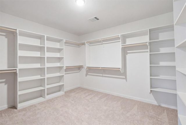 10138 Tiger Flower Lane, Houston, TX 77016