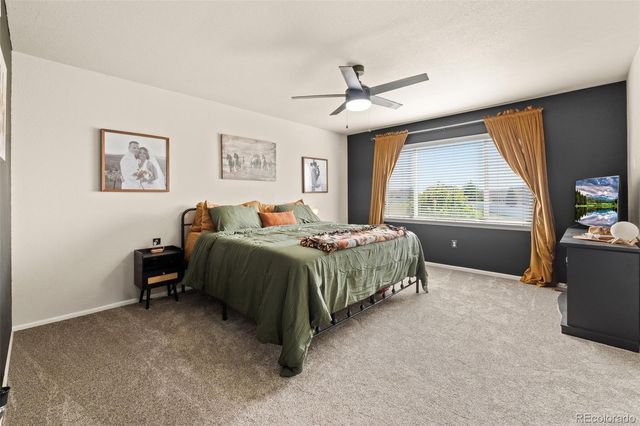 1218 Muskox Street, Severance, CO 80550