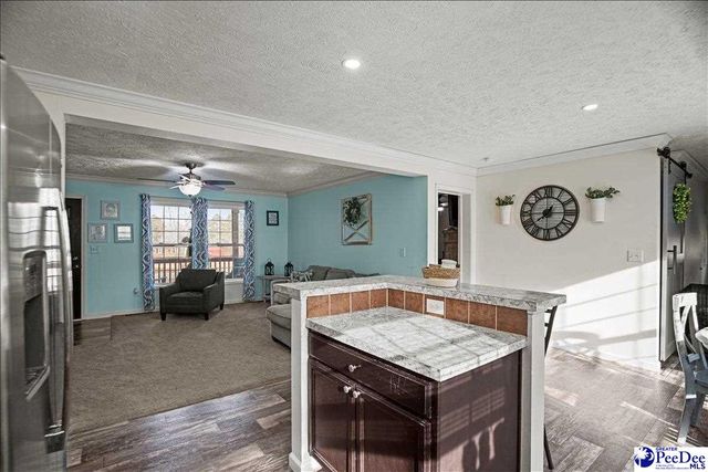 8516 Teals Mill Road, Cheraw, SC 29520