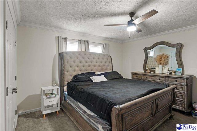 8516 Teals Mill Road, Cheraw, SC 29520