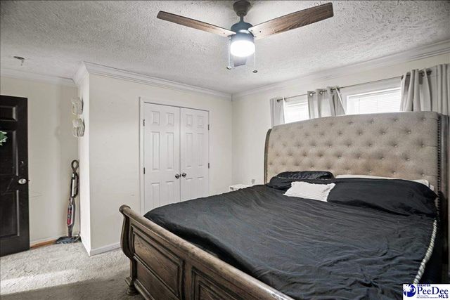 8516 Teals Mill Road, Cheraw, SC 29520