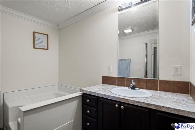 8516 Teals Mill Road, Cheraw, SC 29520