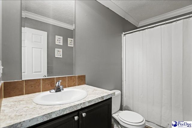 8516 Teals Mill Road, Cheraw, SC 29520