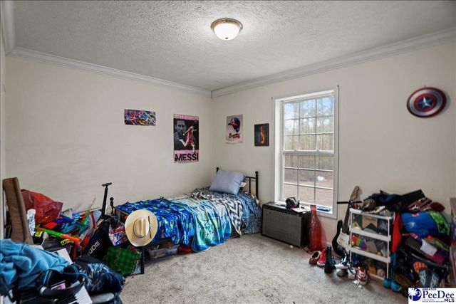 8516 Teals Mill Road, Cheraw, SC 29520