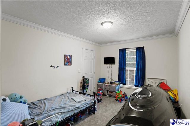 8516 Teals Mill Road, Cheraw, SC 29520