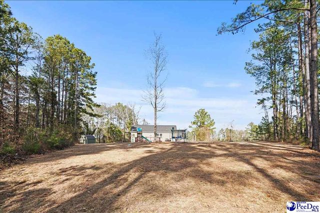 8516 Teals Mill Road, Cheraw, SC 29520