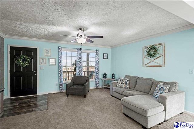 8516 Teals Mill Road, Cheraw, SC 29520