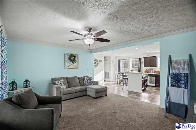 8516 Teals Mill Road, Cheraw, SC 29520