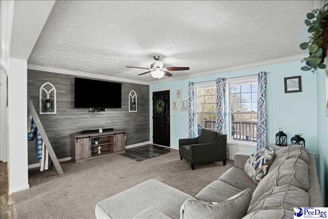 8516 Teals Mill Road, Cheraw, SC 29520