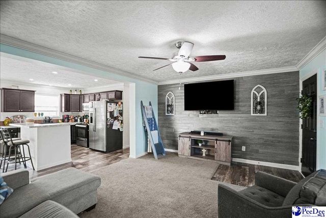 8516 Teals Mill Road, Cheraw, SC 29520