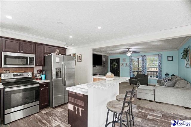 8516 Teals Mill Road, Cheraw, SC 29520