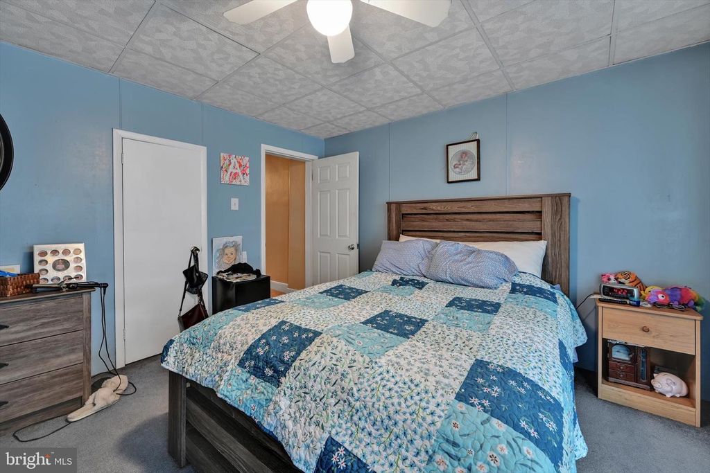 Image 20 of property listing at 234 S SCHUYLKILL AVE, Shenandoah, PA 17976