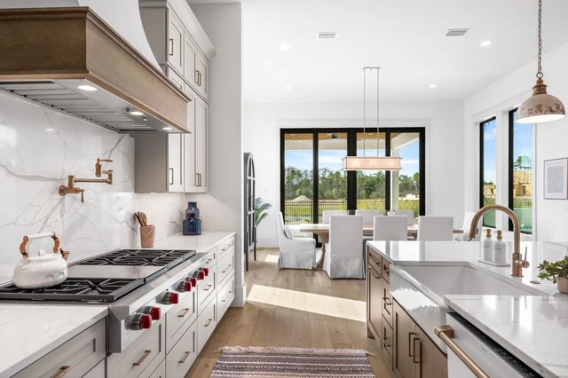 123 N Southern Cross Lane, Inlet Beach, FL 32461