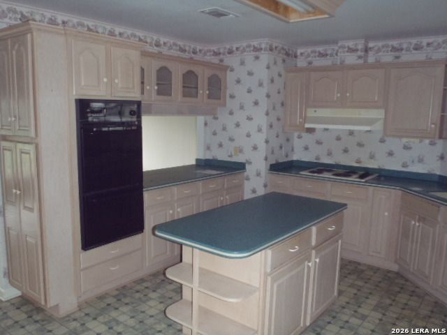 2620 Blumberg Park Rd, Seguin, TX 78155