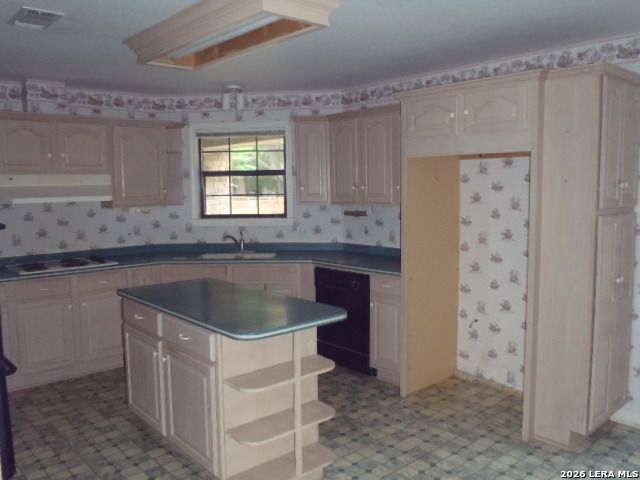 2620 Blumberg Park Rd, Seguin, TX 78155