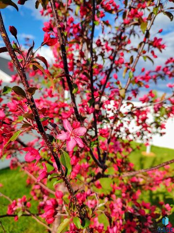 102 E Ivy Rd Ln Lane, Tea, SD 57064