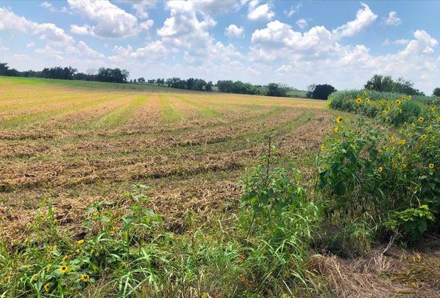 TBD CR 421, Thrall TX 765 County Road 421, Thrall, TX 76578