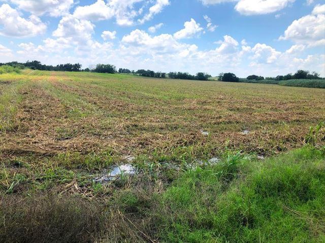 TBD CR 421, Thrall TX 765 County Road 421, Thrall, TX 76578