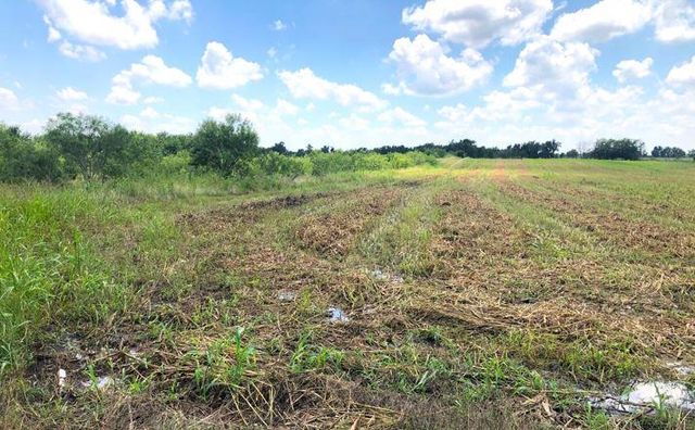 TBD CR 421, Thrall TX 765 County Road 421, Thrall, TX 76578