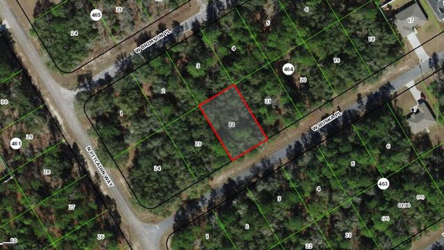 255 W RUSKA PLACE, Citrus Springs, FL 34434