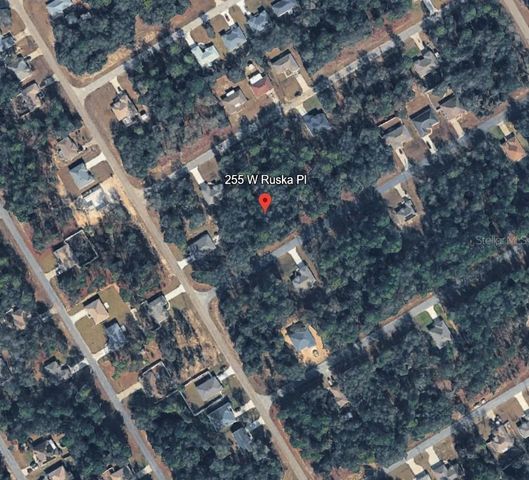 255 W RUSKA PLACE, Citrus Springs, FL 34434