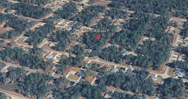 255 W RUSKA PLACE, Citrus Springs, FL 34434