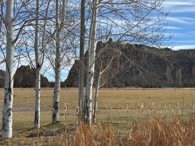 11698 Pinedale Lane, Terrebonne, OR 97760