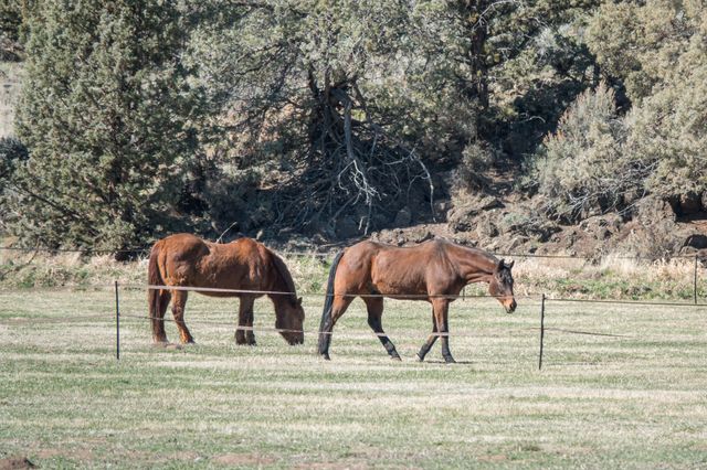 11698 Pinedale Lane, Terrebonne, OR 97760
