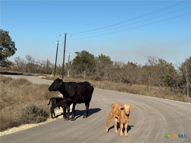 TBD King Ranch Trail, Copperas Cove, TX 76522