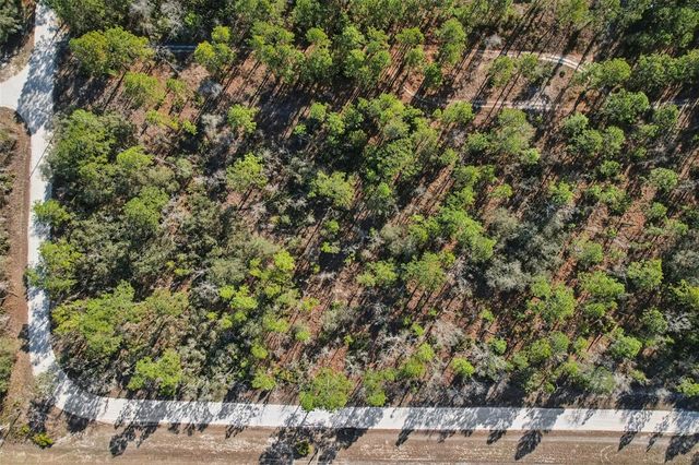 17496 NICASIO JAY AVENUE, Weeki Wachee, FL 34614
