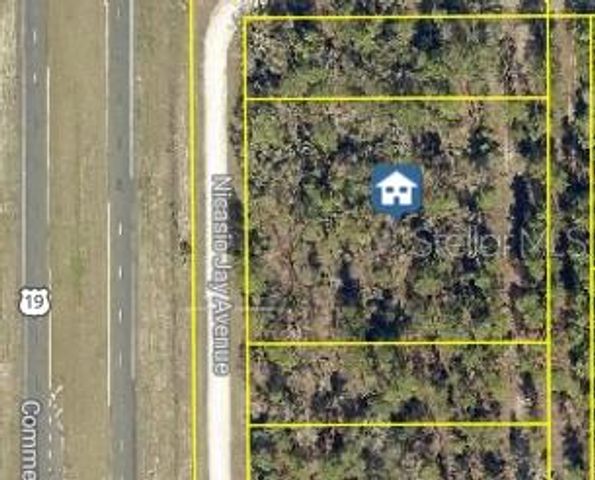 17496 NICASIO JAY AVENUE, Weeki Wachee, FL 34614
