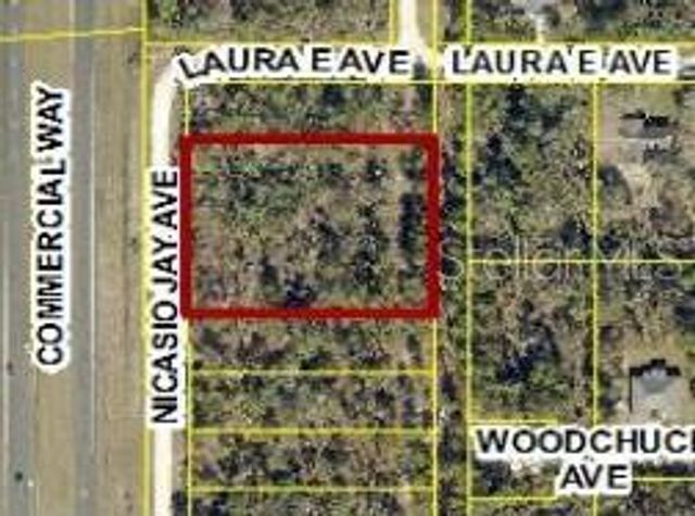 17496 NICASIO JAY AVENUE, Weeki Wachee, FL 34614