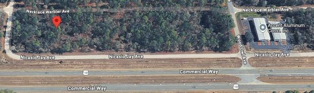 17496 NICASIO JAY AVENUE, Weeki Wachee, FL 34614