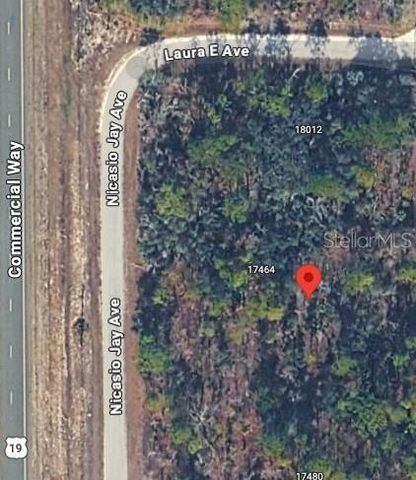 17496 NICASIO JAY AVENUE, Weeki Wachee, FL 34614