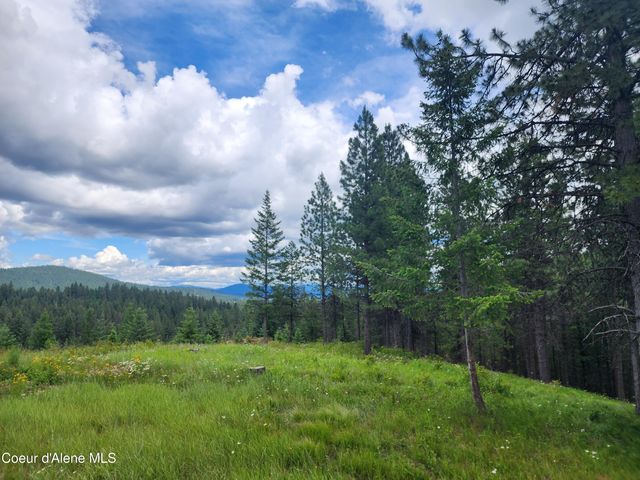 NNA W 40 Acres Cougar Gulch Rd, Coeur D'alene, ID 83814