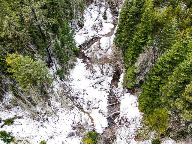 NNA W 40 Acres Cougar Gulch Rd, Coeur D'alene, ID 83814