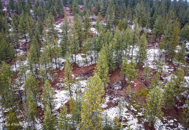 NNA W 40 Acres Cougar Gulch Rd, Coeur D'alene, ID 83814