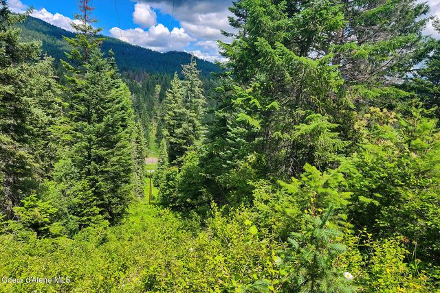 NNA W 40 Acres Cougar Gulch Rd, Coeur D'alene, ID 83814