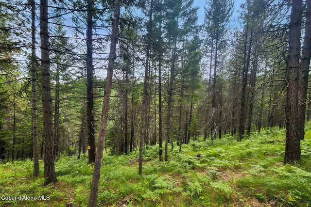 NNA W 40 Acres Cougar Gulch Rd, Coeur D'alene, ID 83814