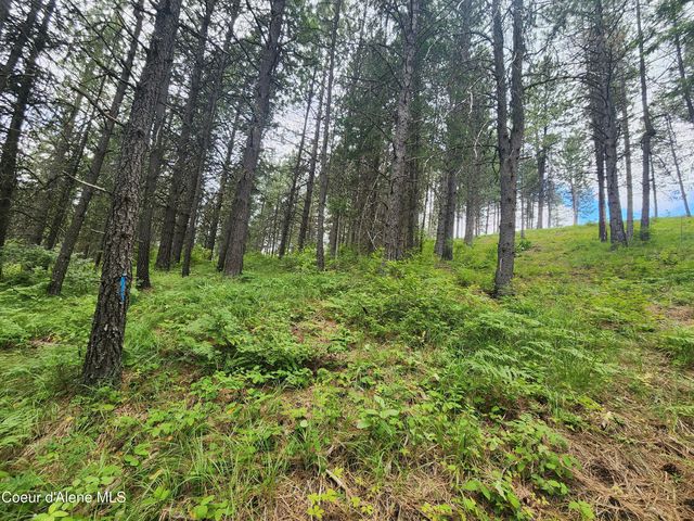 NNA W 40 Acres Cougar Gulch Rd, Coeur D'alene, ID 83814