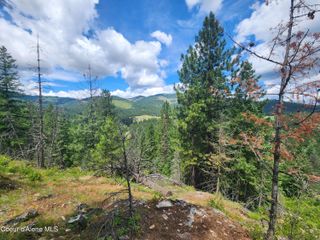 NNA W 40 Acres Cougar Gulch Rd, Coeur D'alene, ID 83814