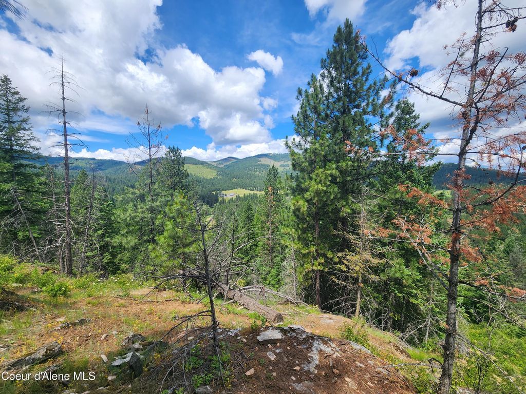 NNA W 40 Acres Cougar Gulch Rd, Coeur D'alene, ID 83814