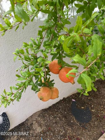 8000 N Casas Place, Tucson, AZ 85742