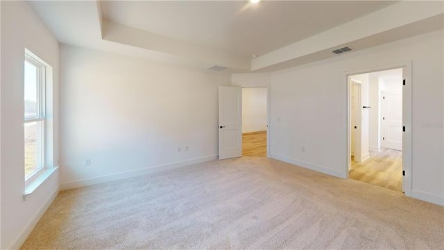 16913 NW 176TH WAY, Alachua, FL 32615