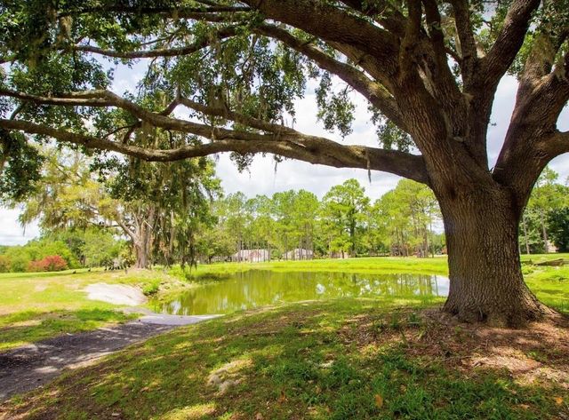 16913 NW 176TH WAY, Alachua, FL 32615
