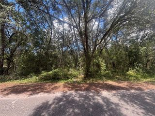 56 FISHER LANE COURT, Ocklawaha, FL 32179