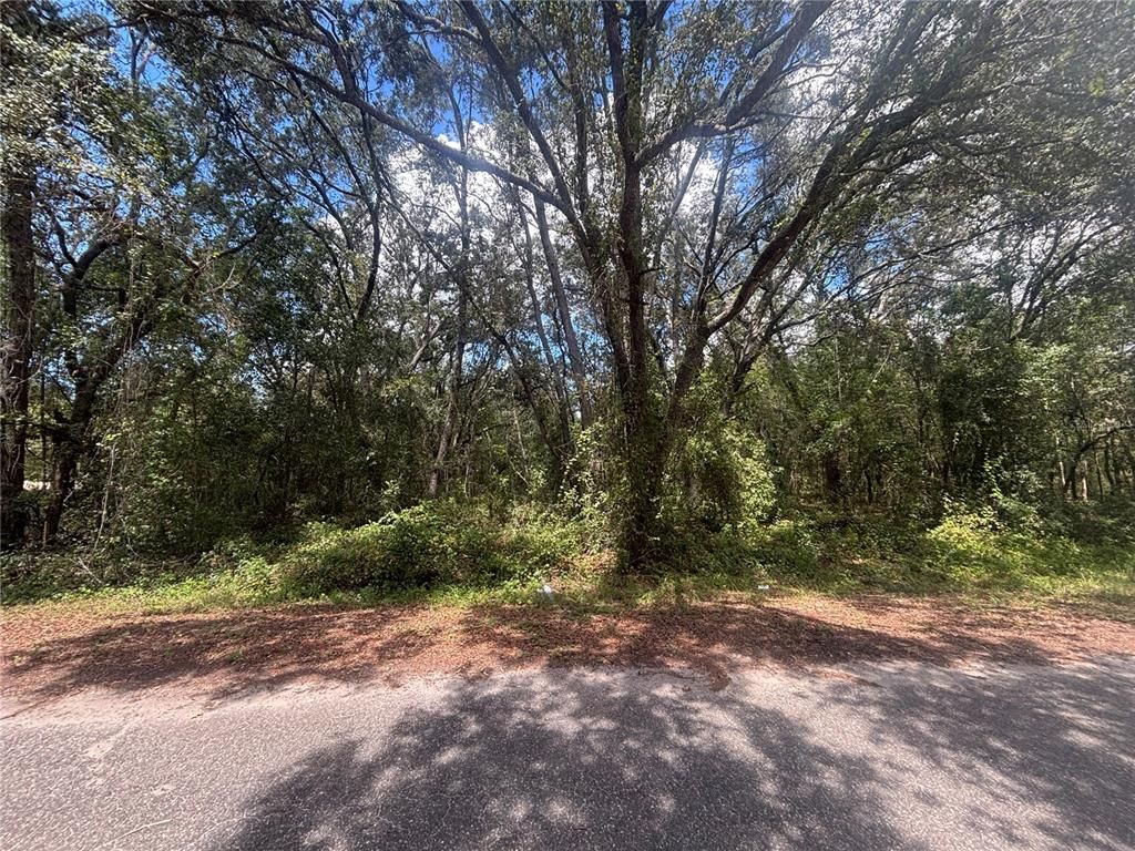 56 FISHER LANE COURT, Ocklawaha, FL 32179