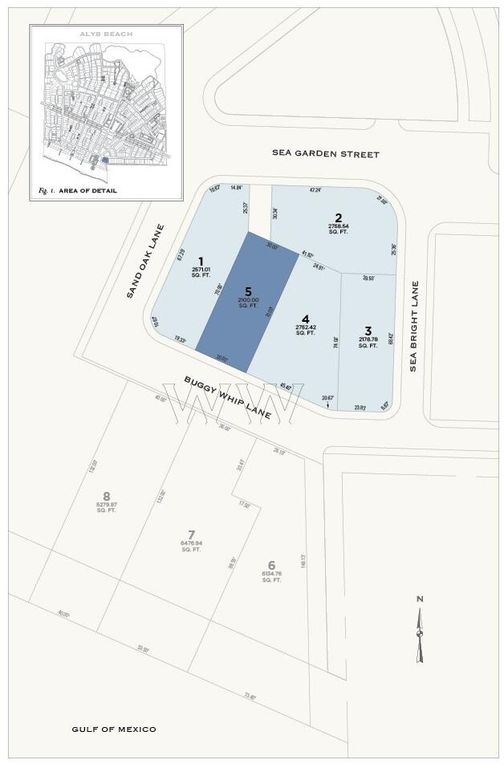 TBD Buggy Whip Lane, Inlet Beach, FL 32461